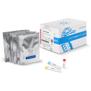 Seahorse XF 线粒体毒性测定试剂盒