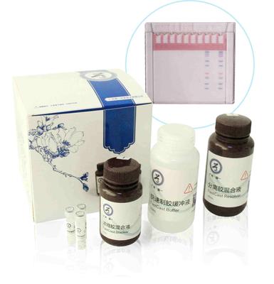 彩色制胶试剂盒