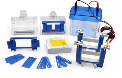 PES-5垂直電泳系統
