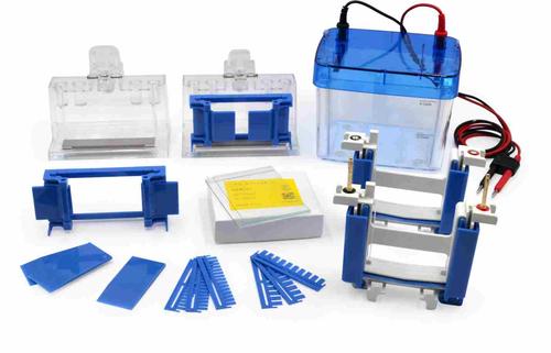 PES-5垂直电泳系统