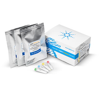 Seahorse XF 底物氧化压力测试试剂盒